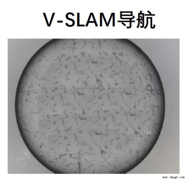 視覺V-SLAM導航AGV優缺點